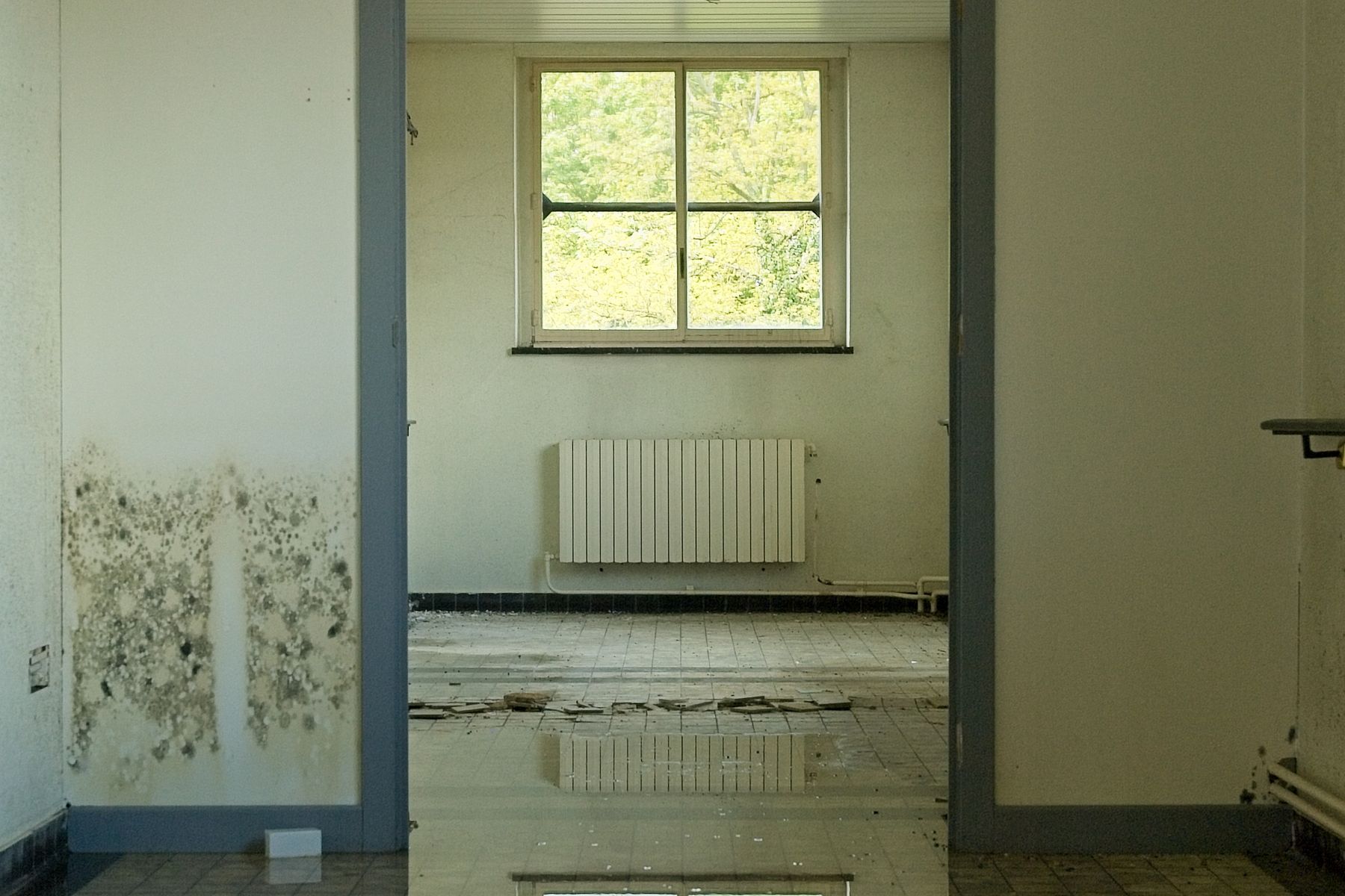 Real water & sewage response property recovery work